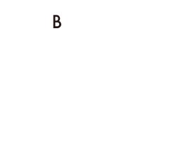 B